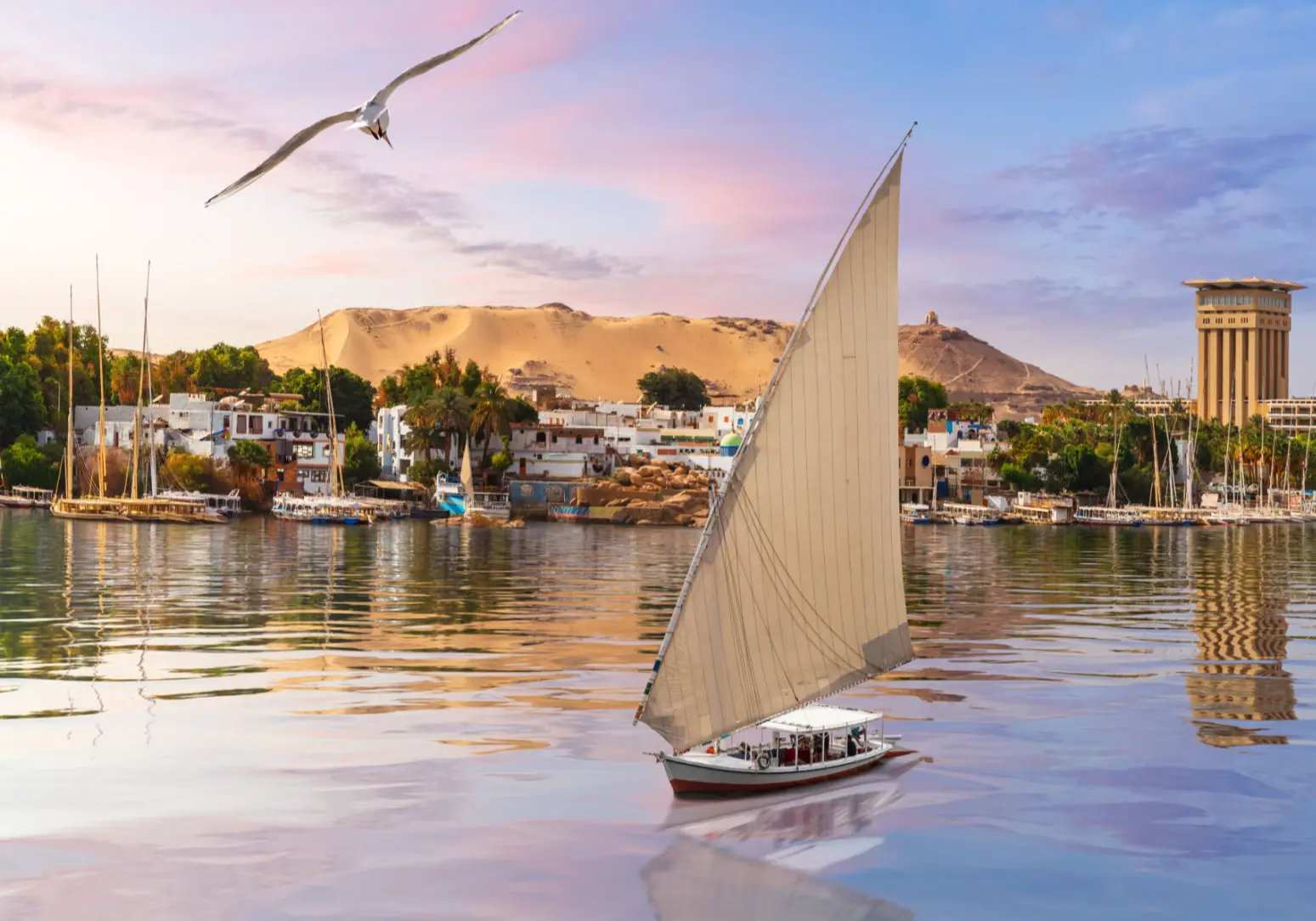 Best Choice Travel